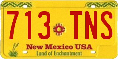 NM license plate 713TNS