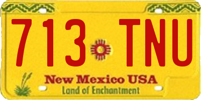 NM license plate 713TNU
