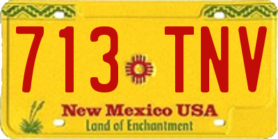NM license plate 713TNV