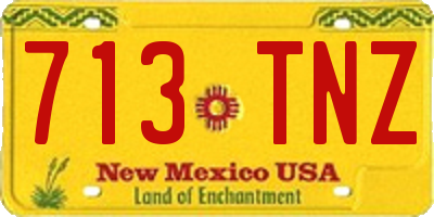 NM license plate 713TNZ