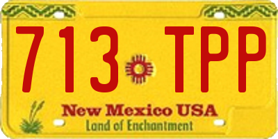 NM license plate 713TPP