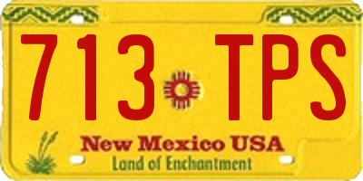 NM license plate 713TPS