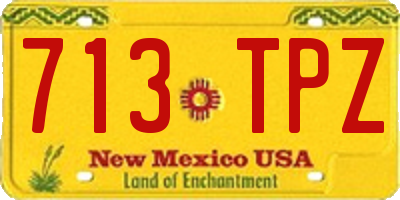 NM license plate 713TPZ