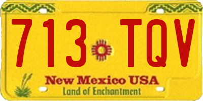 NM license plate 713TQV