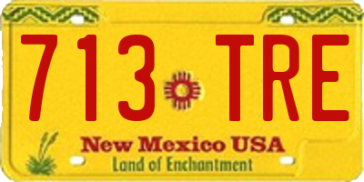 NM license plate 713TRE