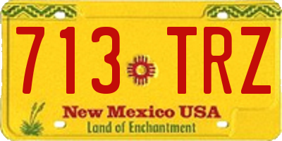 NM license plate 713TRZ