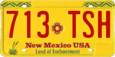 NM license plate 713TSH