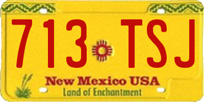 NM license plate 713TSJ