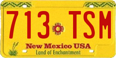 NM license plate 713TSM