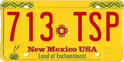 NM license plate 713TSP