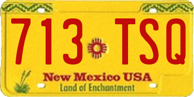 NM license plate 713TSQ