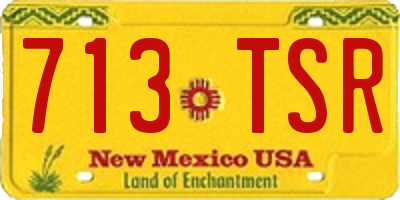 NM license plate 713TSR