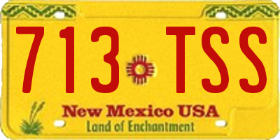 NM license plate 713TSS