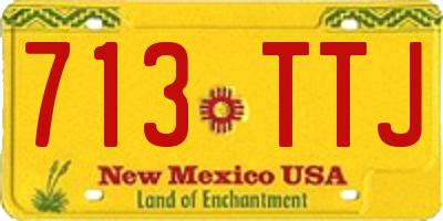 NM license plate 713TTJ