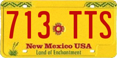 NM license plate 713TTS