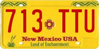 NM license plate 713TTU