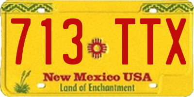 NM license plate 713TTX