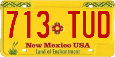 NM license plate 713TUD