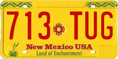 NM license plate 713TUG