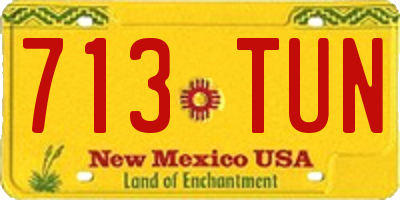 NM license plate 713TUN