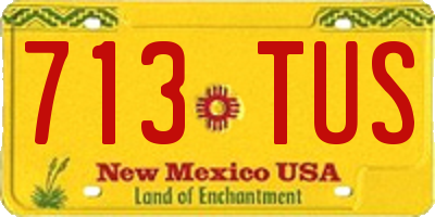 NM license plate 713TUS