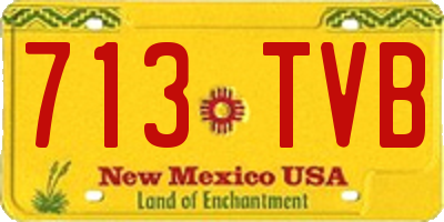 NM license plate 713TVB