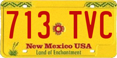 NM license plate 713TVC