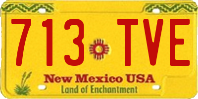 NM license plate 713TVE