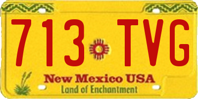 NM license plate 713TVG