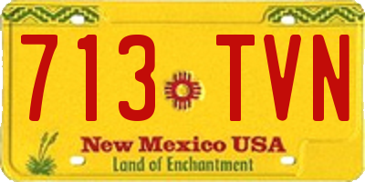 NM license plate 713TVN