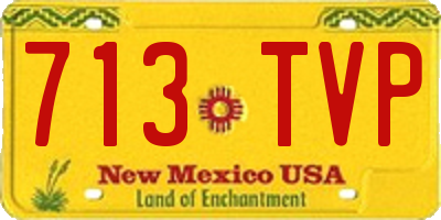 NM license plate 713TVP