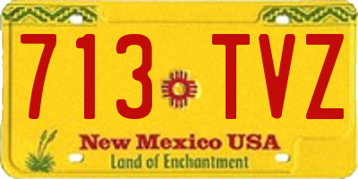 NM license plate 713TVZ