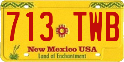 NM license plate 713TWB
