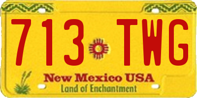 NM license plate 713TWG