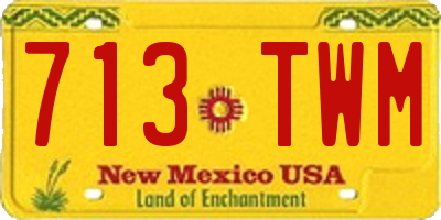 NM license plate 713TWM