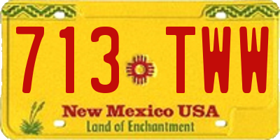 NM license plate 713TWW