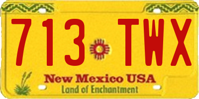 NM license plate 713TWX