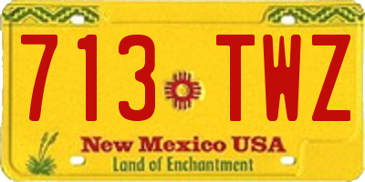 NM license plate 713TWZ