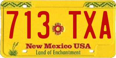 NM license plate 713TXA