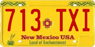 NM license plate 713TXI