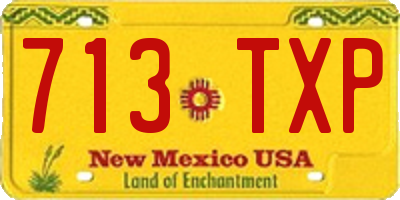 NM license plate 713TXP
