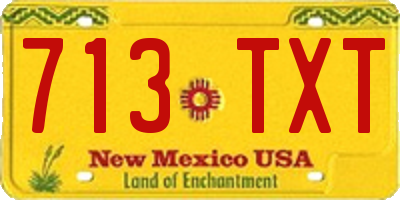 NM license plate 713TXT