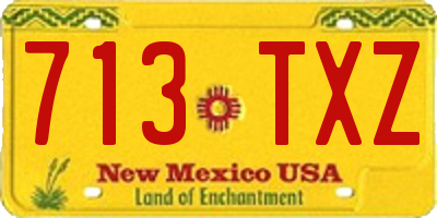 NM license plate 713TXZ