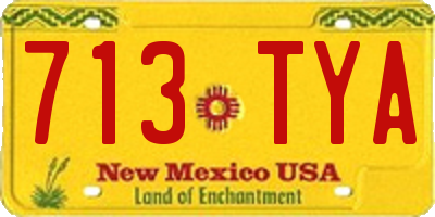 NM license plate 713TYA
