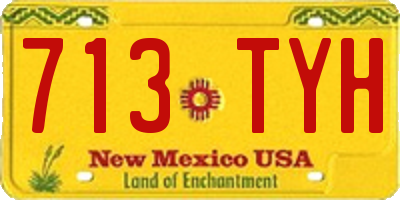 NM license plate 713TYH