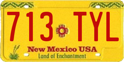 NM license plate 713TYL