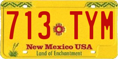 NM license plate 713TYM