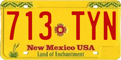 NM license plate 713TYN