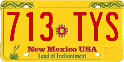 NM license plate 713TYS