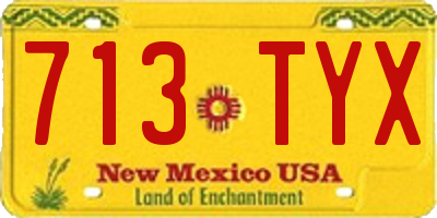NM license plate 713TYX